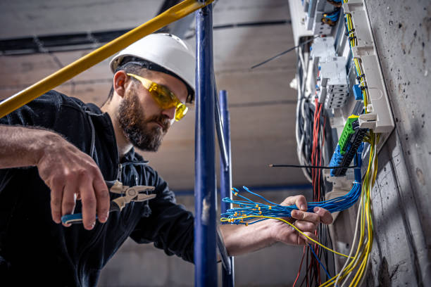 Best Ceiling Fan Installation Electrician  in Hidalgo, TX